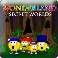 Wonderland Secret Worlds