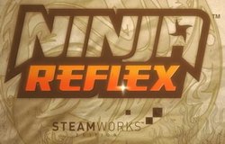 Ninja Reflex: Steamworks Edition
