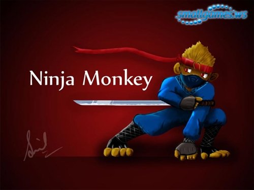 Ninja Monkey (2008/ENG)
