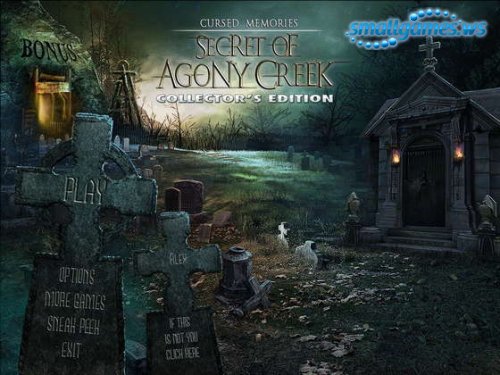 Cursed Memories: The Secret of Agony Creek Collectors Edition