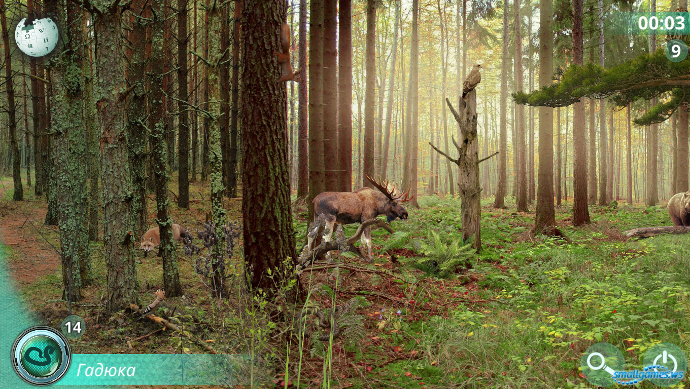Hidden Animals : Photo Hunt . Hidden Object Games for ios download