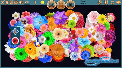 Clutter 17: Flower Power Ce